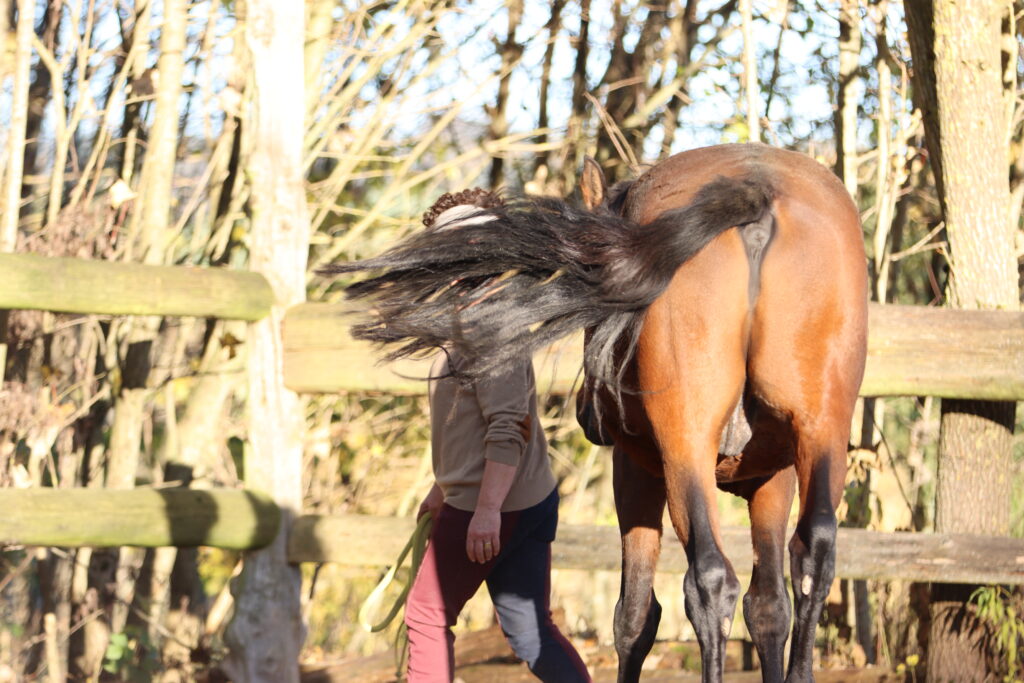Eine Frau mit Pferd neben sich dreht sich zum Betrachter um, aber ihr Gesicht wird vollständig vom Schweif des Pferdes verdeckt.