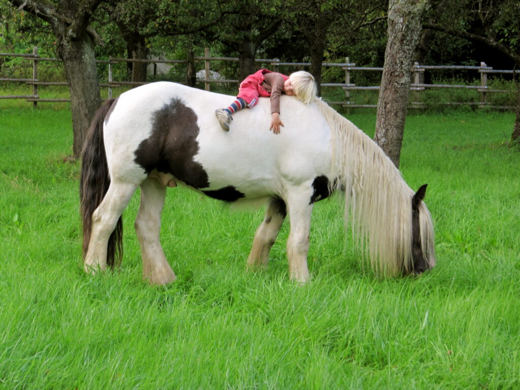 Ein etwa 3-jähriges Kind liegt auf dem Rücken eines Pferdes und versucht es zu umarmen.