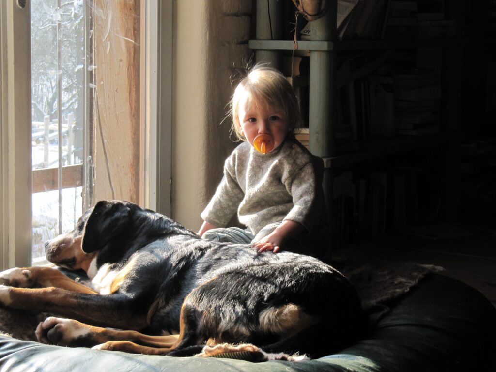 Ein Hund liegt vor einem großen Fenster zusammen mit einem Kleinkind mit Schnuller im Mund.