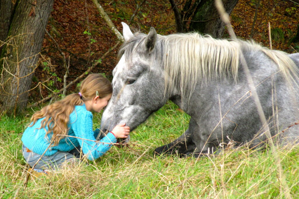 Eine graue Stute liegt im hohen Gras. Vor ihr kniet ein kleines Mädchen und legt ihre Stirn an den Kopf des Pferdes.