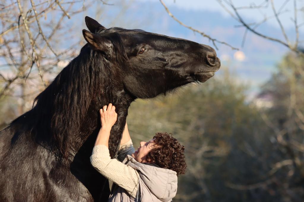 Eine Frau kratzt den verschwitzten Hals eines großen schwarzen Pferdes, der seinen Kopf genüsslich anhebt.