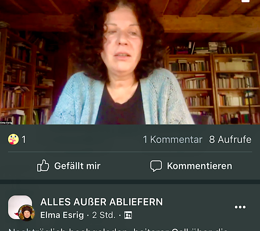 Bildschirmfoto von einem Zoom-Meeting mit einer Frau in hellblauer Strickjacke