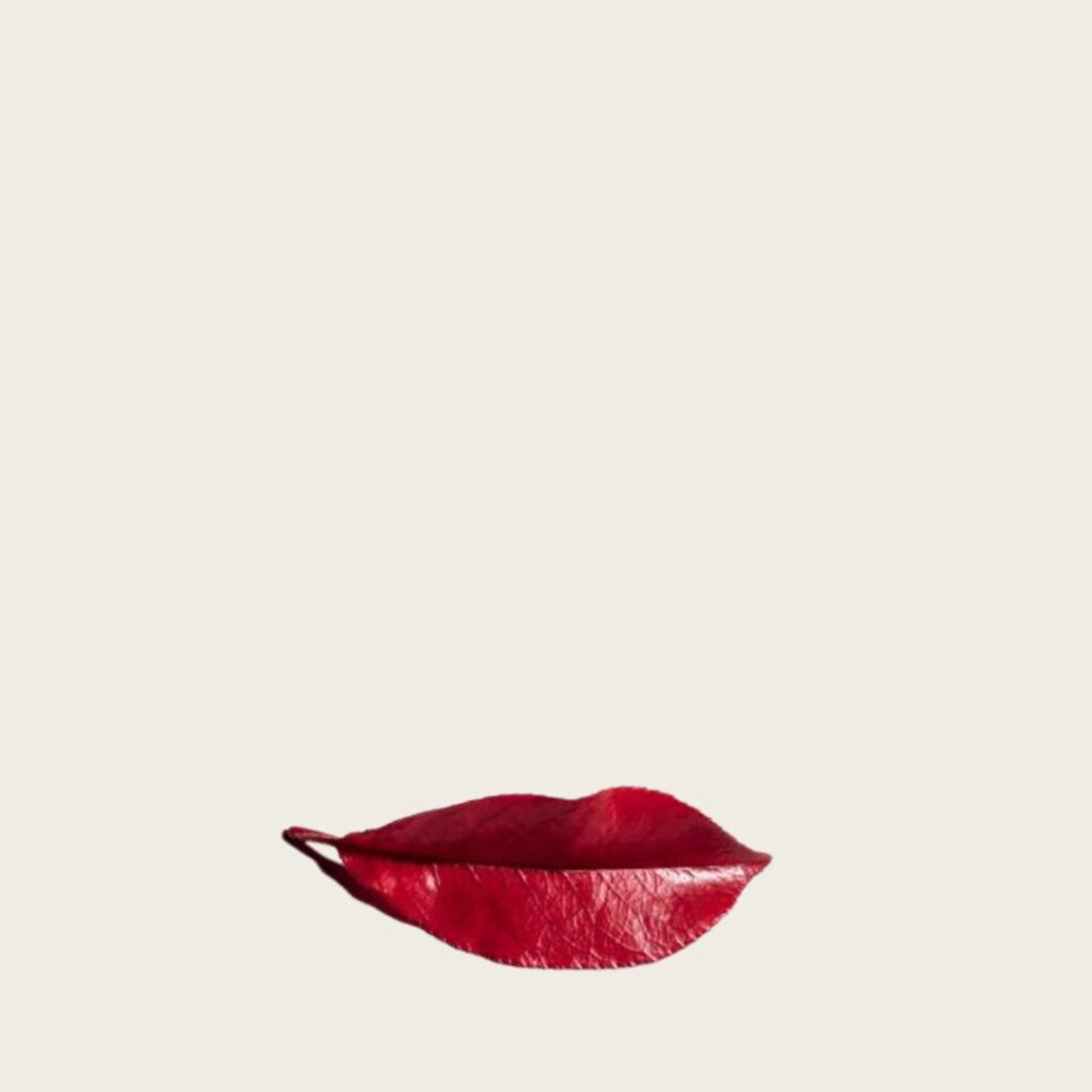 Ein rotes Herbstblatt, das aussieht wie lächelnde Lippen.