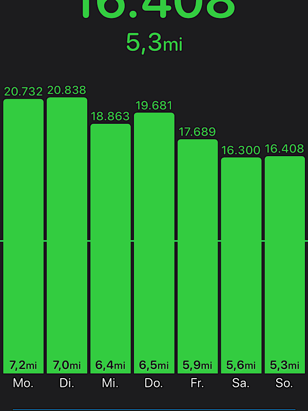 Screenshot einer Schrittzähler-App mit Schrittzahlen zwischen 16.000 und fast 21.000