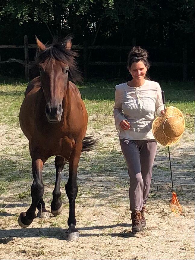 Ein braunes Pferd läuft neben einer Frau, die ein Fähnchen und einen Strohhut in der Hand hält.