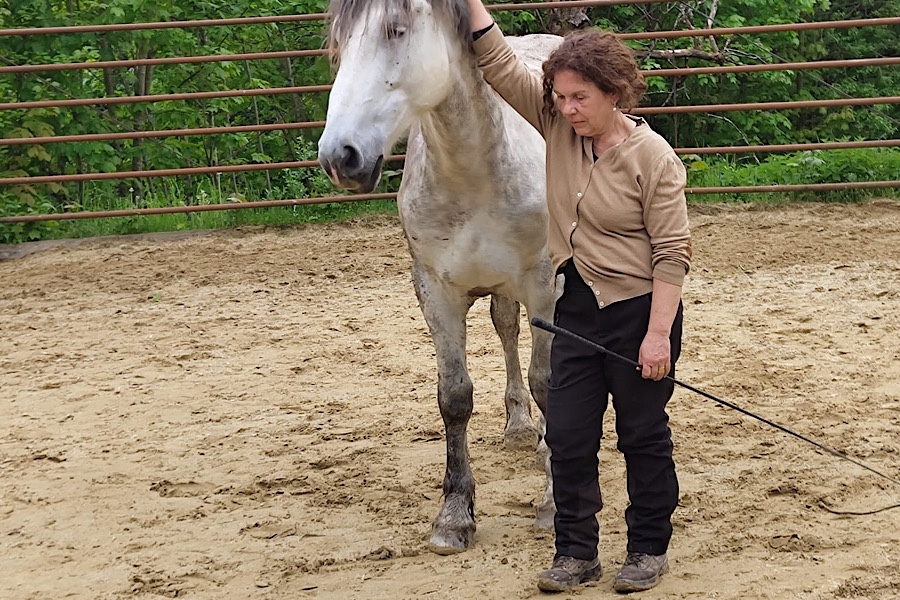 Elma Esrig legt die Hand auf den Nacken des Schimmels Levin. Ihr Körper ist entspannt, der Blick gesenkt.